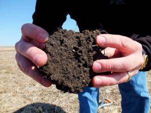 Healthy soil looks dark, crumbly, and porous, and is home to worms and other organisms. It feels soft, moist, and friable, and allows plant roots to grow unimpeded. Credit: Colette Kessler, USDA Natural Resources Conservation Service